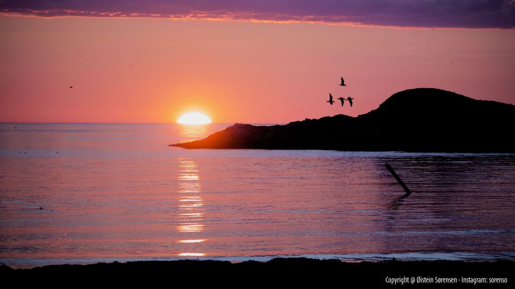 Midnattsola på Hasselnes