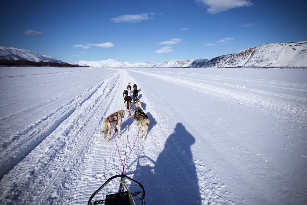 Hundekjøring og påskeferie